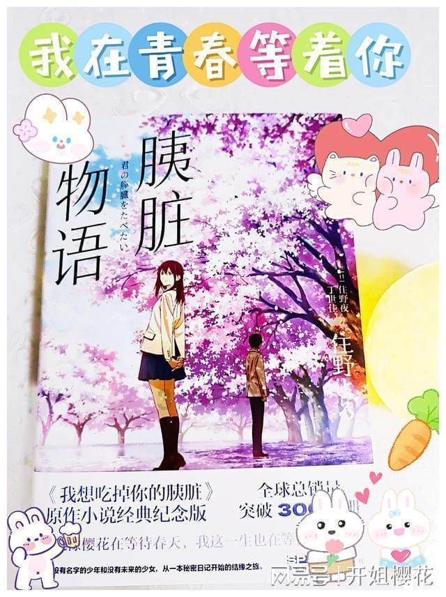 永定勒石|碑刻诉说潭柘寺悠悠往事